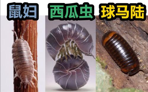 点击查看原图 3.jpg